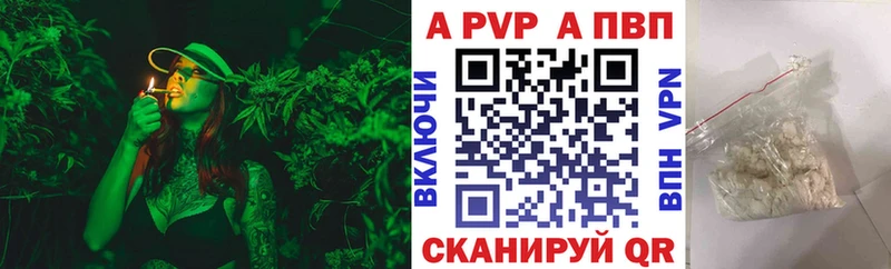 KRAKEN как войти  Калтан  APVP крисы CK 
