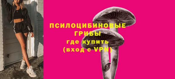 ПСИЛОЦИБИНОВЫЕ ГРИБЫ Армянск