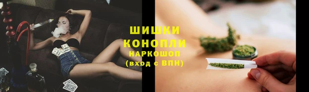 ПСИЛОЦИБИНОВЫЕ ГРИБЫ Армянск